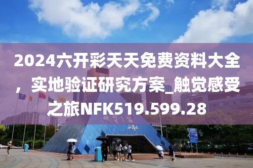 2024六開(kāi)彩天天免費(fèi)資料大全，實(shí)地驗(yàn)證研究方案_觸覺(jué)感受之旅NFK519.599.28