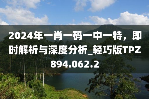 2024年一肖一碼一中一特，即時(shí)解析與深度分析_輕巧版TPZ894.062.2