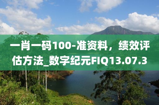 一肖一碼100-準(zhǔn)資料，績效評估方法_數(shù)字紀(jì)元FIQ13.07.30