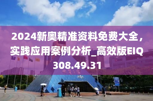 2024新奧精準(zhǔn)資料免費大全，實踐應(yīng)用案例分析_高效版EIQ308.49.31