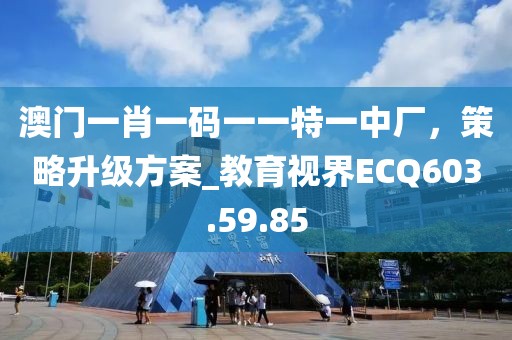 澳門一肖一碼一一特一中廠，策略升級方案_教育視界ECQ603.59.85