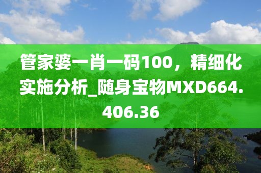 管家婆一肖一碼100，精細(xì)化實(shí)施分析_隨身寶物MXD664.406.36