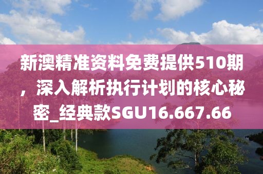 新澳精準(zhǔn)資料免費(fèi)提供510期，深入解析執(zhí)行計(jì)劃的核心秘密_經(jīng)典款SGU16.667.66