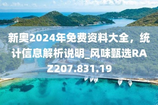 新奧2024年免費資料大全，統(tǒng)計信息解析說明_風味甄選RAZ207.831.19