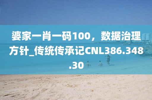 婆家一肖一碼100，數(shù)據(jù)治理方針_傳統(tǒng)傳承記CNL386.348.30