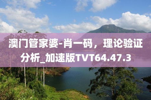 澳門管家婆-肖一碼，理論驗證分析_加速版TVT64.47.3