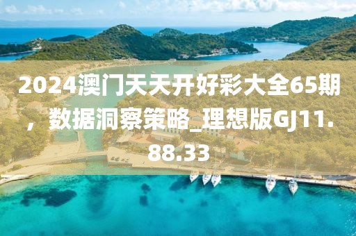 2024澳門天天開好彩大全65期，數(shù)據(jù)洞察策略_理想版GJ11.88.33