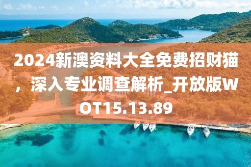 2024新澳資料大全免費(fèi)招財(cái)貓，深入專業(yè)調(diào)查解析_開放版WOT15.13.89