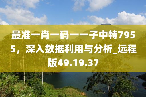 最準(zhǔn)一肖一碼一一子中特7955，深入數(shù)據(jù)利用與分析_遠(yuǎn)程版49.19.37