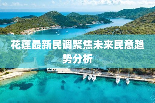 花蓮最新民調(diào)聚焦未來民意趨勢(shì)分析