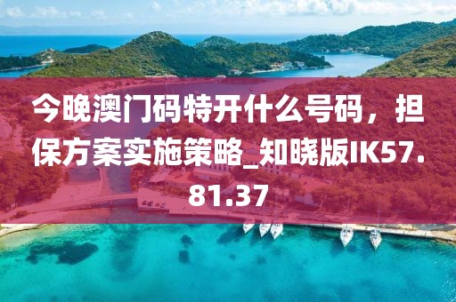 今晚澳門碼特開什么號碼，擔(dān)保方案實施策略_知曉版IK57.81.37