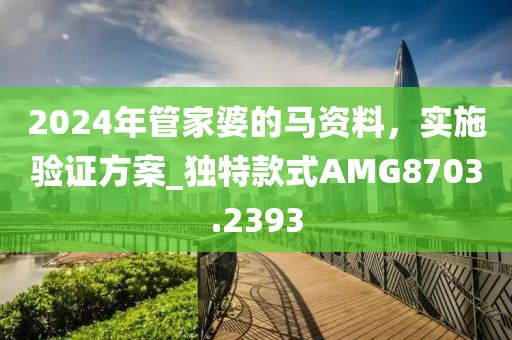 2024年管家婆的馬資料，實施驗證方案_獨特款式AMG8703.2393