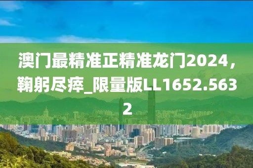 澳門最精準正精準龍門2024，鞠躬盡瘁_限量版LL1652.5632