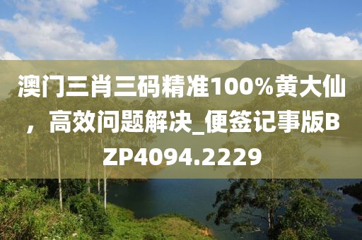 澳門三肖三碼精準(zhǔn)100%黃大仙，高效問題解決_便簽記事版BZP4094.2229