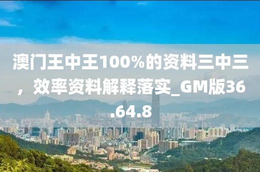 澳門王中王100%的資料三中三，效率資料解釋落實(shí)_GM版36.64.8