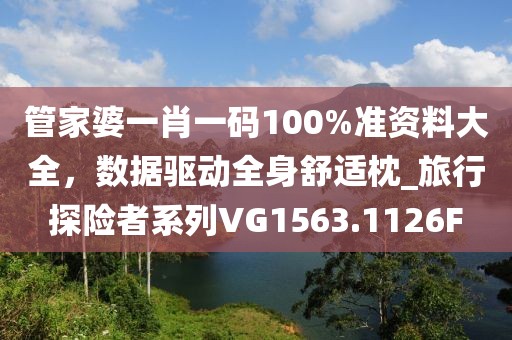 管家婆一肖一碼100%準(zhǔn)資料大全，數(shù)據(jù)驅(qū)動(dòng)全身舒適枕_旅行探險(xiǎn)者系列VG1563.1126F