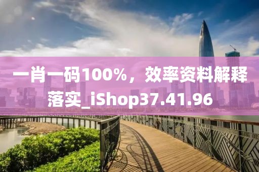 一肖一碼100%，效率資料解釋落實(shí)_iShop37.41.96