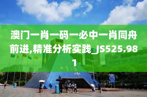 澳門一肖一碼一必中一肖同舟前進(jìn),精準(zhǔn)分析實踐_JS525.981