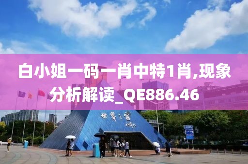 白小姐一碼一肖中特1肖,現(xiàn)象分析解讀_QE886.46