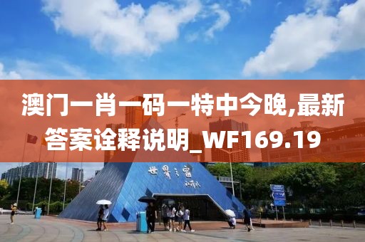 澳門一肖一碼一特中今晚,最新答案詮釋說明_WF169.19