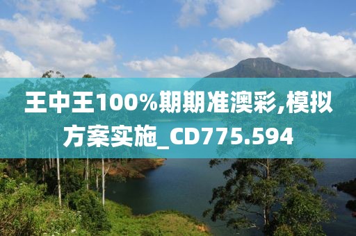 王中王100%期期準(zhǔn)澳彩,模擬方案實(shí)施_CD775.594