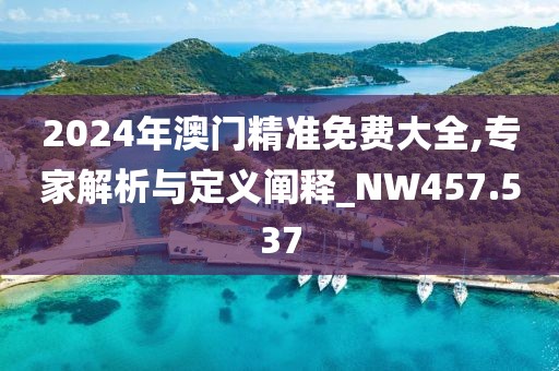 2024年澳門精準免費大全,專家解析與定義闡釋_NW457.537