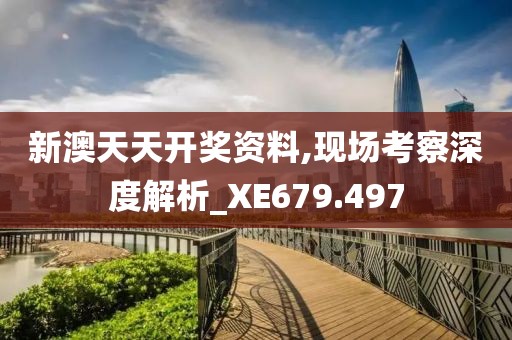 新澳天天開獎資料,現(xiàn)場考察深度解析_XE679.497