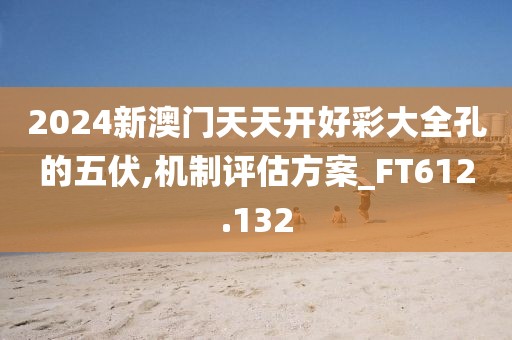 2024新澳門天天開(kāi)好彩大全孔的五伏,機(jī)制評(píng)估方案_FT612.132