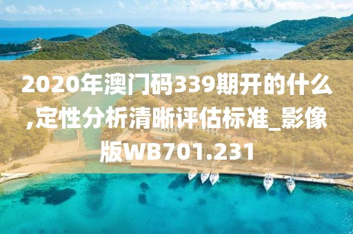 2020年澳門碼339期開的什么,定性分析清晰評估標準_影像版WB701.231