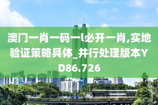 澳門一肖一碼一l必開一肖,實(shí)地驗(yàn)證策略具體_并行處理版本YD86.726