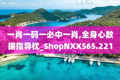 一肖一碼一必中一肖,全身心數(shù)據(jù)指導(dǎo)枕_ShopNXX565.221