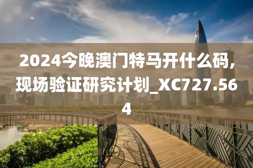 2024今晚澳門(mén)特馬開(kāi)什么碼,現(xiàn)場(chǎng)驗(yàn)證研究計(jì)劃_XC727.564