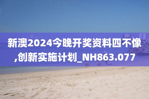 新澳2024今晚開獎資料四不像,創(chuàng)新實施計劃_NH863.077