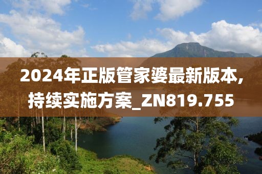 2024年正版管家婆最新版本,持續(xù)實施方案_ZN819.755