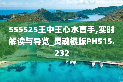 555525王中王心水高手,實時解讀與導覽_靈魂銀版PH515.232