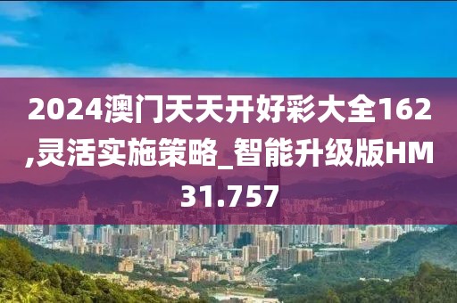 2024澳門天天開好彩大全162,靈活實施策略_智能升級版HM31.757