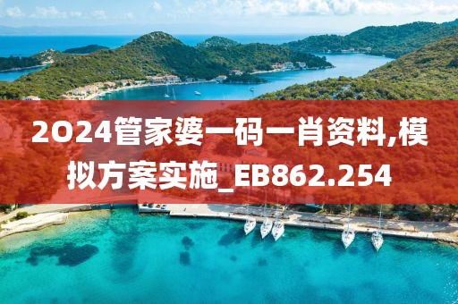 2O24管家婆一碼一肖資料,模擬方案實施_EB862.254