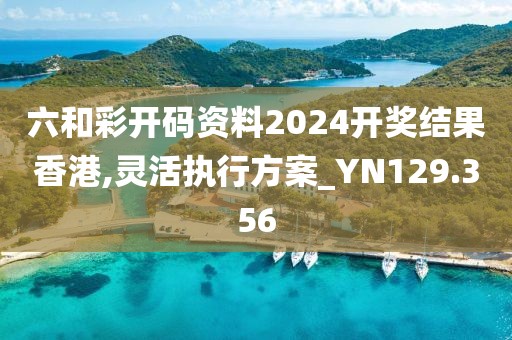 六和彩開碼資料2024開獎(jiǎng)結(jié)果香港,靈活執(zhí)行方案_YN129.356