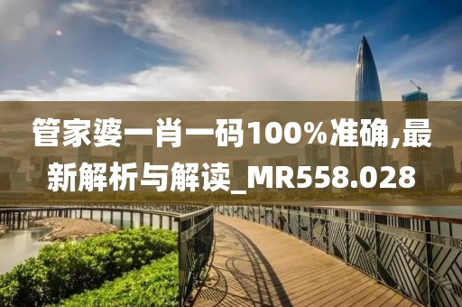 管家婆一肖一碼100%準確,最新解析與解讀_MR558.028