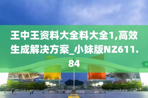 王中王資料大全料大全1,高效生成解決方案_小妹版NZ611.84