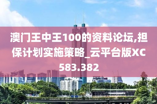 澳門王中王100的資料論壇,擔(dān)保計(jì)劃實(shí)施策略_云平臺(tái)版XC583.382