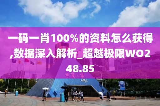 一碼一肖100%的資料怎么獲得,數(shù)據(jù)深入解析_超越極限WO248.85