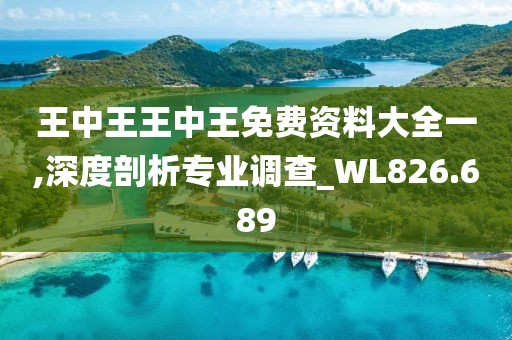 王中王王中王免費資料大全一,深度剖析專業(yè)調(diào)查_WL826.689