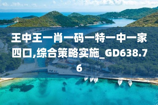 王中王一肖一碼一特一中一家四口,綜合策略實(shí)施_GD638.76