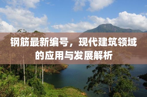 鋼筋最新編號，現(xiàn)代建筑領(lǐng)域的應(yīng)用與發(fā)展解析