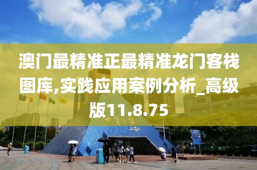 澳門最精準正最精準龍門客棧圖庫,實踐應用案例分析_高級版11.8.75