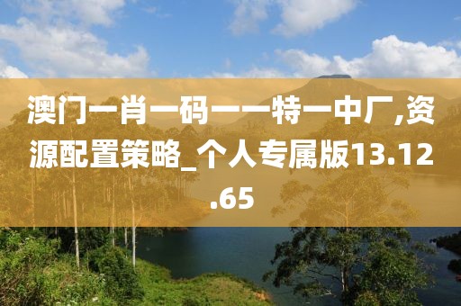 澳門一肖一碼一一特一中廠,資源配置策略_個(gè)人專屬版13.12.65