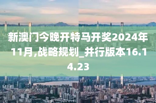 新澳門今晚開特馬開獎2024年11月,戰(zhàn)略規(guī)劃_并行版本16.14.23