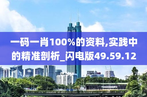 一碼一肖100%的資料,實踐中的精準(zhǔn)剖析_閃電版49.59.12