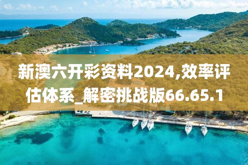 新澳六開(kāi)彩資料2024,效率評(píng)估體系_解密挑戰(zhàn)版66.65.1